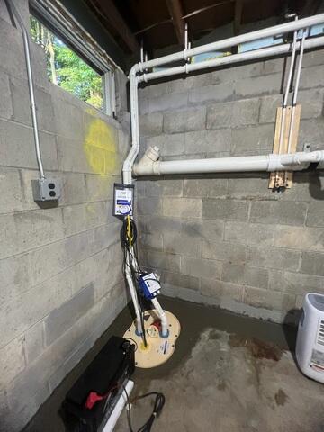 TripleSafe Sump Pump System
