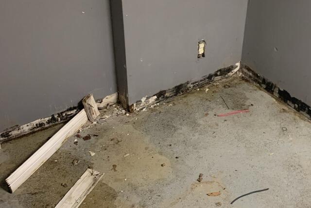 Water Damage in the Basement