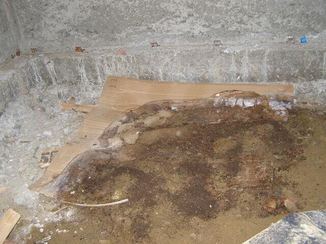 Inspection photo