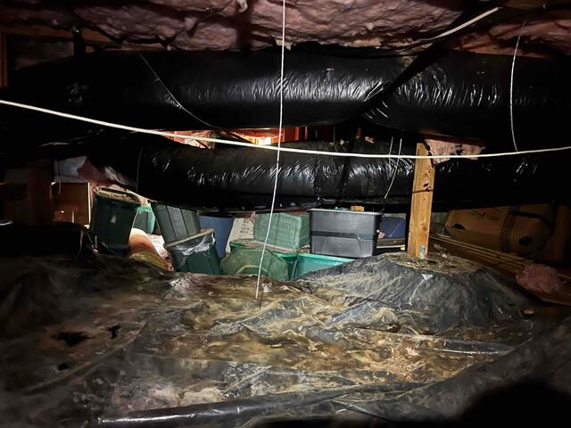 Mess in the Crawlspace