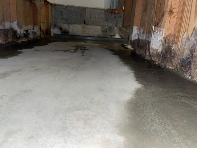 Water Damage