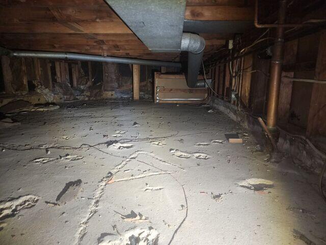 Crawl Space Before