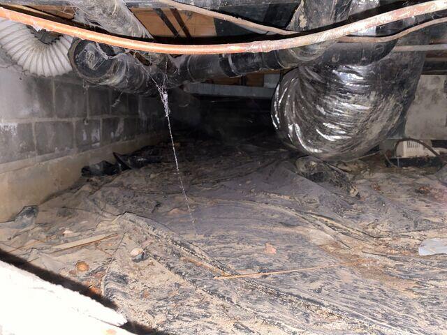 Wet Crawl Space