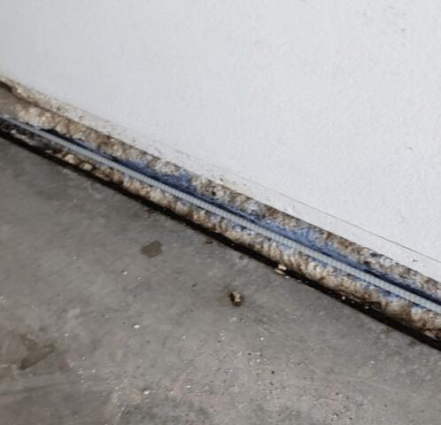 Stem Wall Repair Process: Preventing is Caring in Glendale, AZ