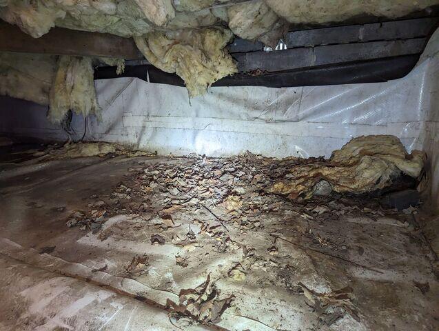 Crawl Space Before