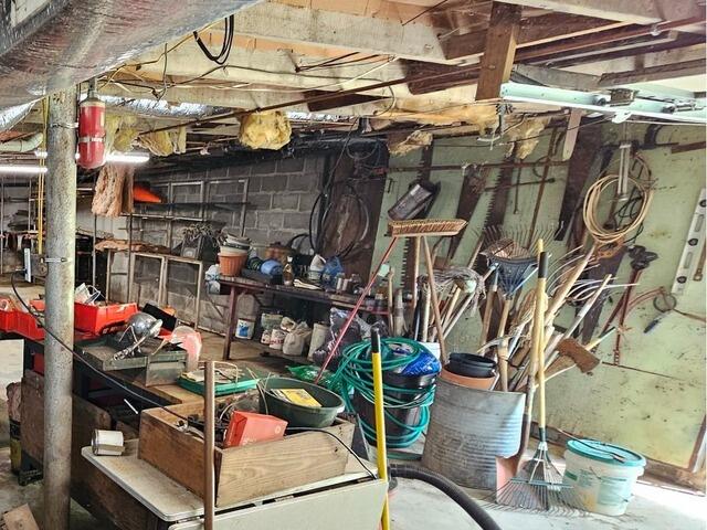 The basement as we first stepped in.