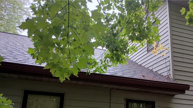 Gutter Helmet Exterior