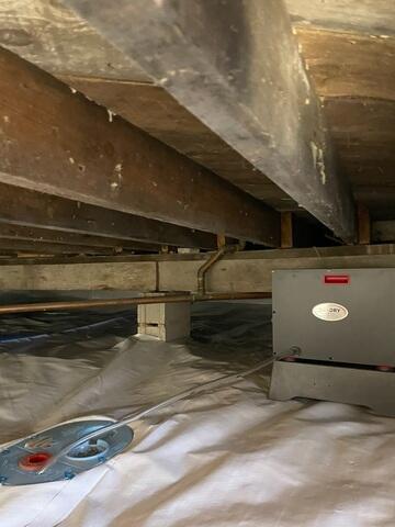 Eliminating the Moisture