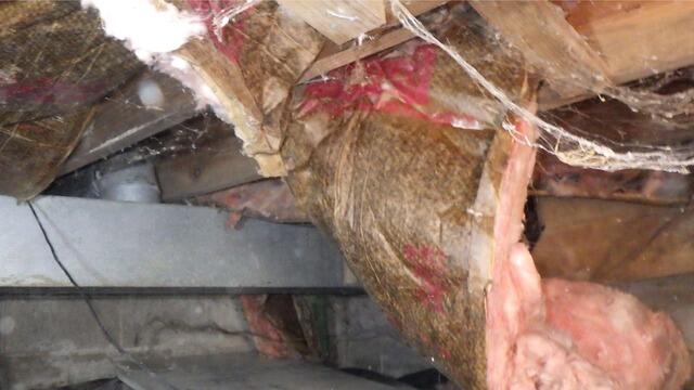 Rotten Crawl Space Insulation