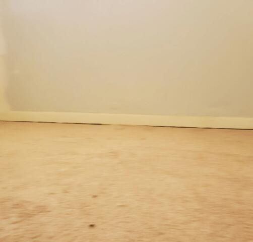 Concrete Lifting Process: Final Look in Saint David, AZ