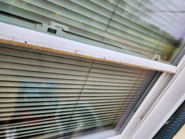 Window Latches Again