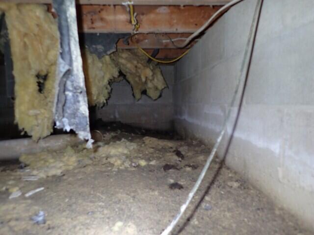 Crawl Space Dampness