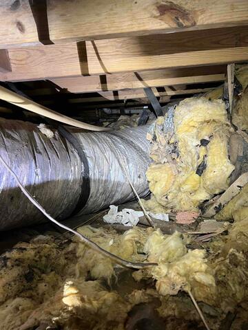 Fallen Insulation in Crawl Space