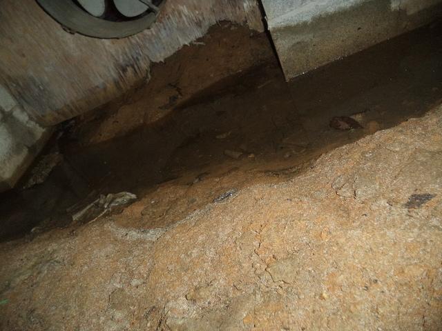 Water in Crawlspace