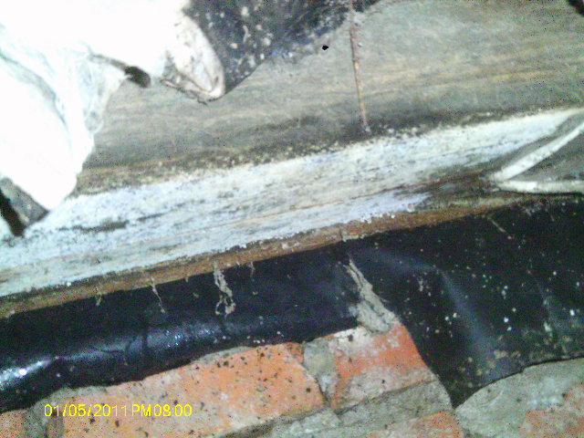 Mold Growing in Rim Joists