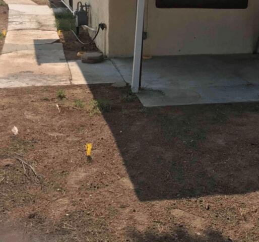 Symptoms of Foundation Issues in a Home: Expansive Soil in Elfrida, AZ