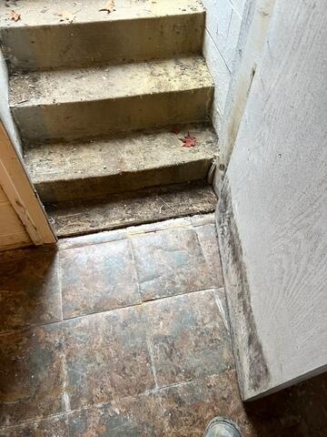 Entryway Water Problem