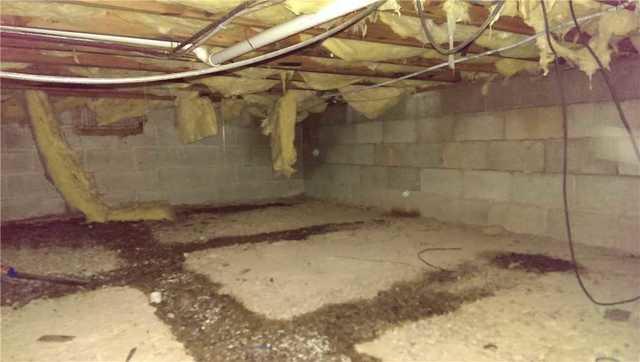 Wet Crawlspace