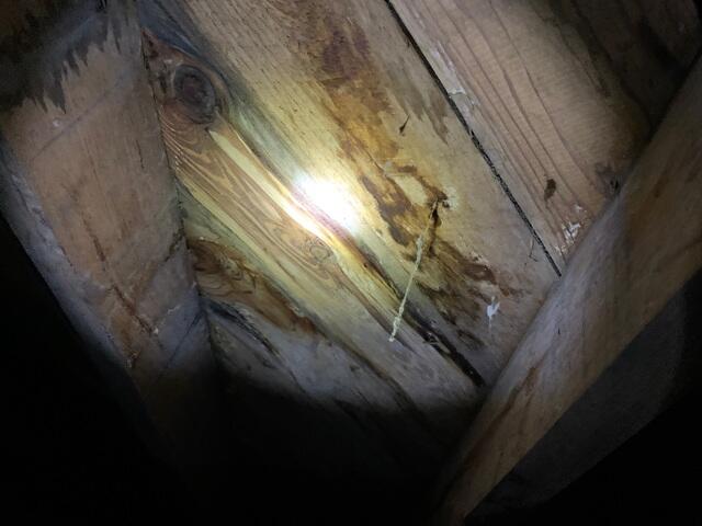 Floor Joist Moisture Damage