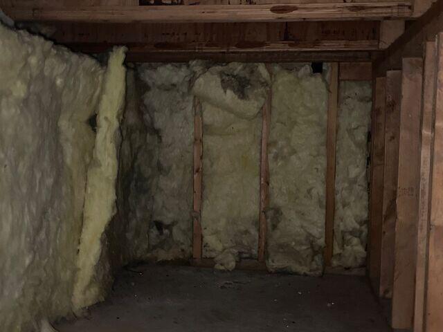 Old Insulation