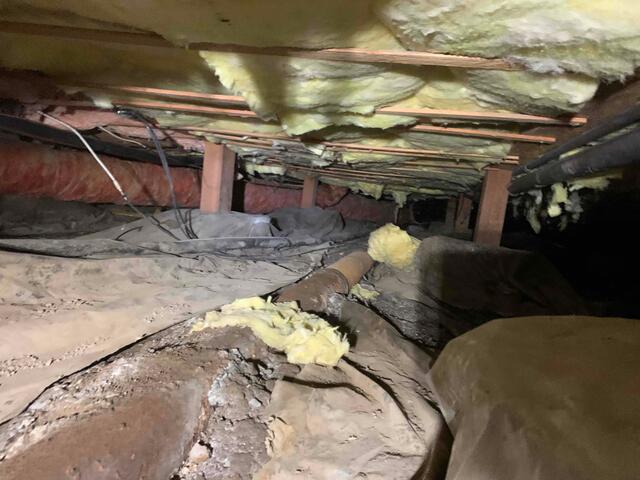 Before - Old Vapor Barrier