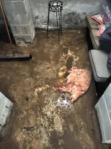 Water Intrusion