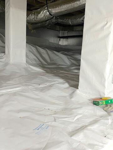 Moisture and Mold Control