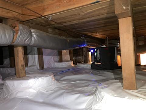 Dehumidifier and Sump Pump