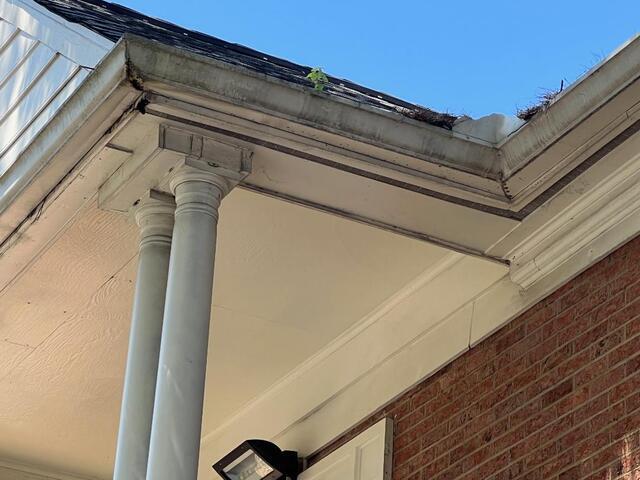 Debris build-up in old gutter system