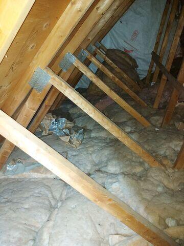 Attic with old insulation and mold