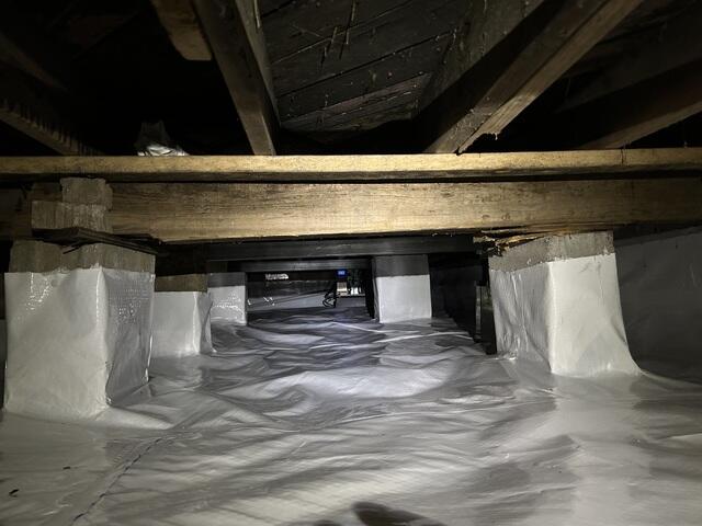 CleanSpace and SaniDri Sedona Dehumidifier