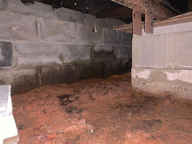 Wet Walls and Musty Odors