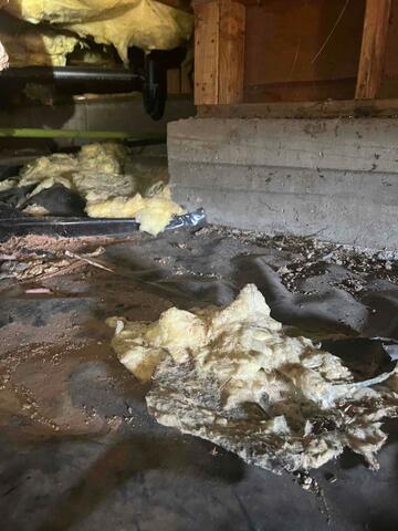 Before - Crawlspace disrepair