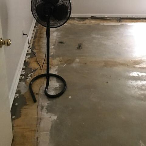 Water Damage
