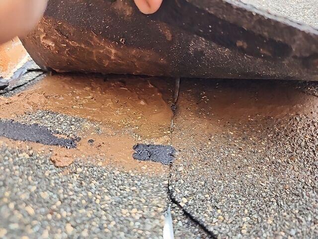 Shingles holding water