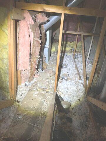 Can Lights and This Insulation