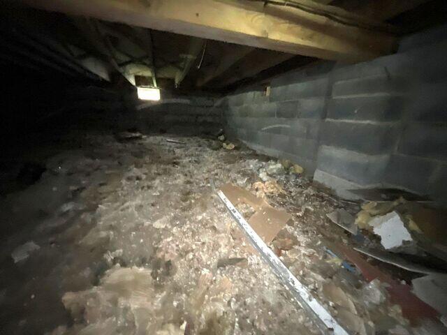 Nasty Crawl Space