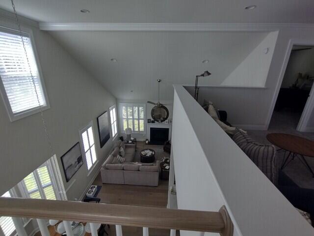 Living Room and Ceiling