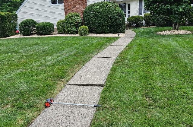 Concrete Walkway Before