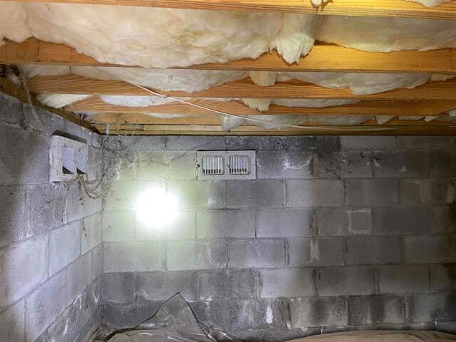 Water Intrusion Alert: Crawl Space Wall