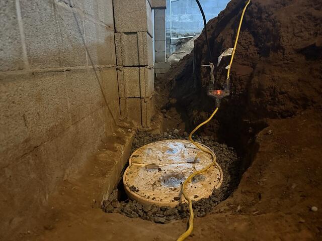 TripleSafe Sump Pump