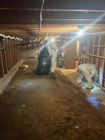 Clearing out the Crawlspace