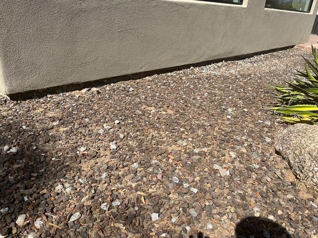 causes of Concrete Stem Wall: Plants Edition in Carefree, AZ