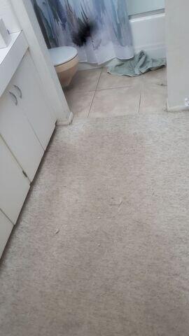 Signs of Foundation Problems. Sunken Floor in Wickenburg, AZ