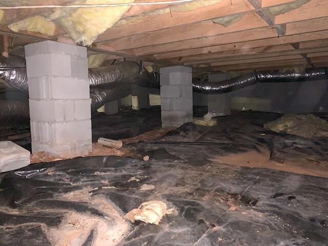 Nasty Crawl Space