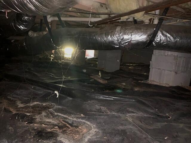 Inadequate Moisture Control