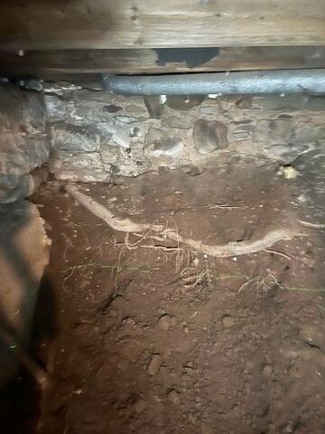 Compromised Wall in Home