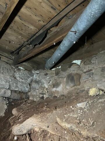 Wall Deflection and Tree Route in Foundation