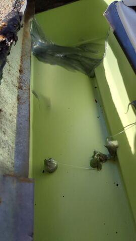 Sealing of all end caps and corners.