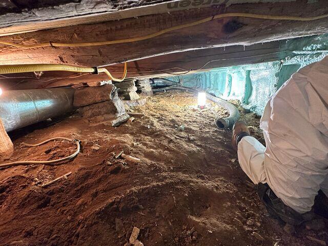 Crawl Space Clean Up